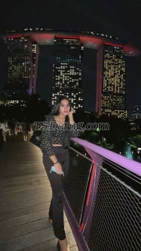 trans girl Tsdesy12 1524399 trans girl Tsdesy12 1524399