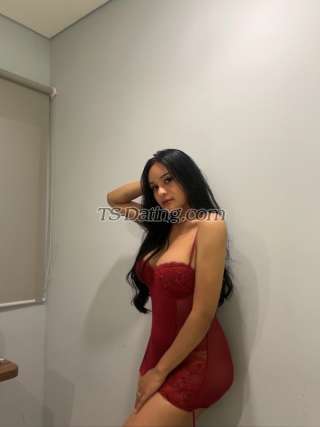 trans girl Tsdesy12 7184931 trans girl Tsdesy12 7184931