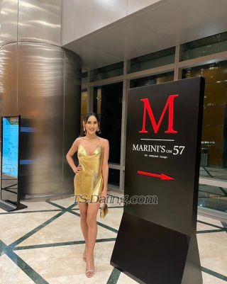 trans girl Tslexa 6074850 trans girl Tslexa 6074850