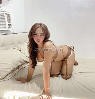 trans girl Tslexi2025 3677531 trans girl Tslexi2025 3677531