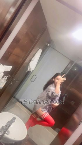 trans girl Tslolly 9454496 trans girl Tslolly 9454496