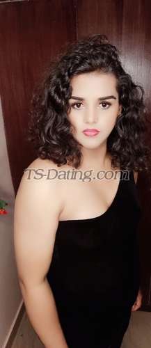 trans girl Tsmeganx 7824561 trans girl Tsmeganx 7824561