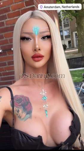 trans girl Tsnaz 3846397 trans girl Tsnaz 3846397