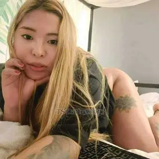 Shemale Tspammy 1362656 Shemale Tspammy 1362656