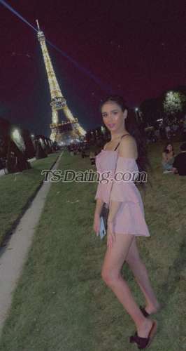 trans girl Tssexymary 7229364 trans girl Tssexymary 7229364