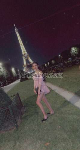 trans girl Tssexymary 7229386 trans girl Tssexymary 7229386