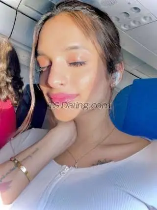 Shemale Tsshewta 2672912