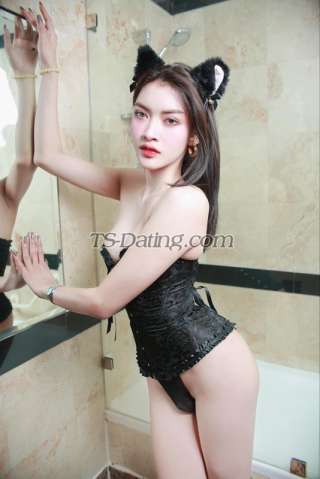 trans girl TulipVersTH 3608638 trans girl TulipVersTH 3608638