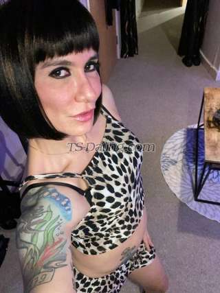 trans girl Tvjunot 9750502 trans girl Tvjunot 9750502