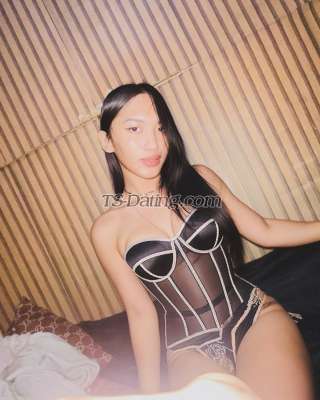trans girl tasha0524 4320441 trans girl tasha0524 4320441