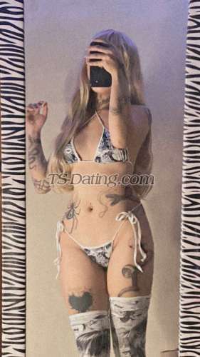 trans girl tattedshane 3398575