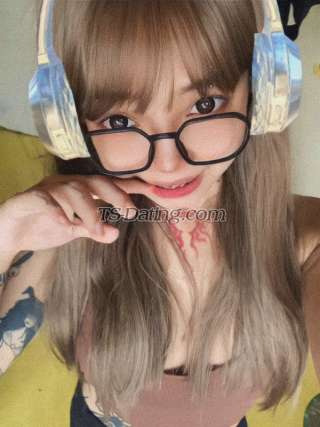 trans girl tattedshane 3398598