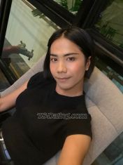 thanyadakon Krabi Transex Hi me Tammy Nice to meet you lovely 🥰 i live in
Aonang Krabi Thailand I’m 25 years old WhatsApp
+66952628140 Tammy SuyTelegram +66952628140
@Tammy_SuyWe are meet and enjoy 