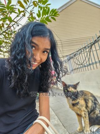 trans girl ticha 8859003 trans girl ticha 8859003