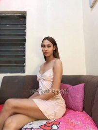 top nocther Calamba Transex Hello, I'm TS top notcher, your fantasy top, I have a 7 inch penis and most of all, I'm 100% hard and functional 