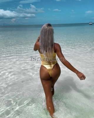 trans girl transforyour 2608526 trans girl transforyour 2608526