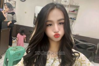 trans girl translisa2003 2846780 trans girl translisa2003 2846780