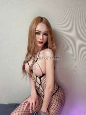 transyoshi Busan Transex I'm yoshi from thai
Now I’m in Changwon 
I'm Good
Personality and beautiful body pretty face with the big
friendly smile and nice smooth tan skin
I look 100 %
same the photo
I am Tall 170 cm. Weight 58 kg.
I
have Curve body big soft boobs make 400 cc.
With big
sexy ass. and 6 inches cock size Shaved
I’m safe and
clean
I’m top and bottom.
Don’t be shy to
contact me I am nice and friendly would love to make you
happy with good service and big happy cum!!!💦
Choose
me You will never Disappointed!💋
❤️ Tell me what
is you fantasy and i will make your Fantasy come
true😉😘
Service ⬇️
First timer, Massage,
cumshot, BJ, DEEP THROAT, ANAL FINGERING, RIMMING, ANAL SEX
(PROTECTED), TOP/BOTTOM, 69 , franc kiss, GF experience,
Dominate
Contact⬇️

whatsapp :
+821024255565
line : nutty011991