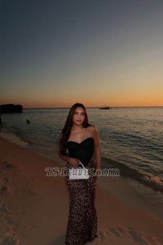 trans girl tshanna11 8850719 trans girl tshanna11 8850719