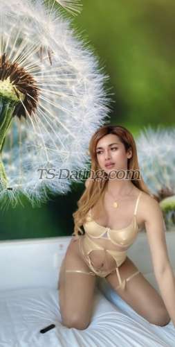 trans girl tskiel 6047764 trans girl tskiel 6047764