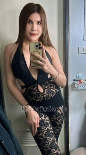 trans girl tsnesty6969 0384698 trans girl tsnesty6969 0384698