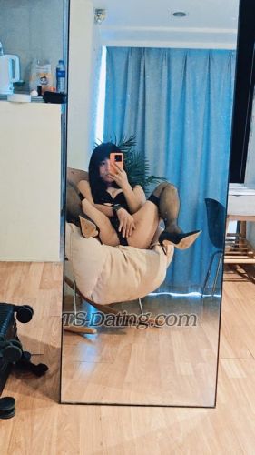 trans girl tstao 4619022