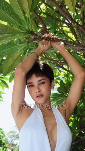 trans girl tsthbkk 3598497