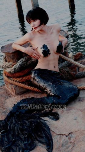 trans girl tsthbkk 8294082 trans girl tsthbkk 8294082