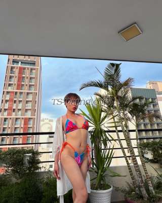 trans girl sissyboytino 9228895