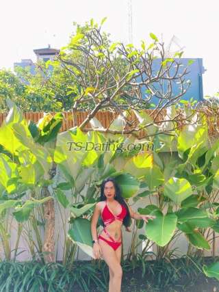 trans girl Valeriahan 8900797 trans girl Valeriahan 8900797