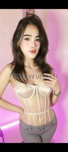 trans girl VanccaTsvvip 8186802 trans girl VanccaTsvvip 8186802