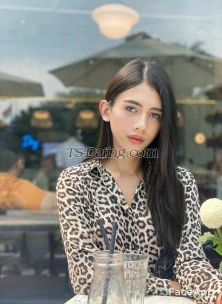 trans girl Vanesh 3152517