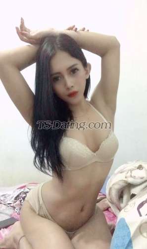 trans girl Vanesh 3153589