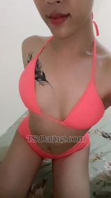 VanessaCeline Jakarta Transex Hello everyone 🥰🥰🥰🥰My name is Celine,
About me: My real photos My Sexy body u can
see at my pictCan go up and down... Penis can be
hard My services: KissingOral sex
Ejaculation/Ejaculation Anal sex Romantic sex
CudllingSixtynineCome if u want my
service i’ll give u full service, from head to toe,
Don’t talk to much bb, just meet me and we can have
some fun 💦💦🤤Telegram @celineecantikk