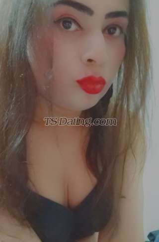 trans girl Vanigill 6605403 trans girl Vanigill 6605403