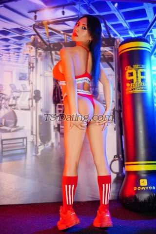 trans girl Vanssolfi 6025091 trans girl Vanssolfi 6025091