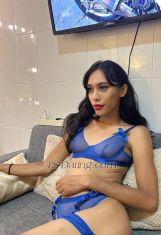 Vegaescort1 Jakarta Transex Hallo, ich bin Vega, ... Ich bin sehr freundlich und privat, wenn Sie interessiert sind, können Sie mich kontaktieren 088905051593