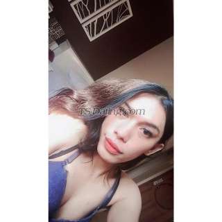 trans girl Vegaescort1 0057161 trans girl Vegaescort1 0057161