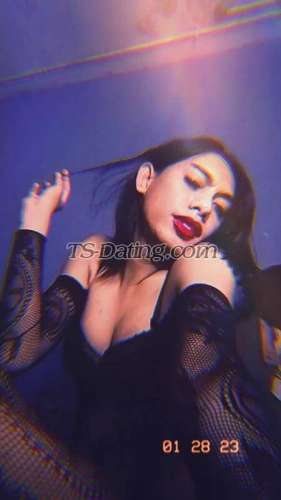 trans girl Vegaescort1 7497969 trans girl Vegaescort1 7497969