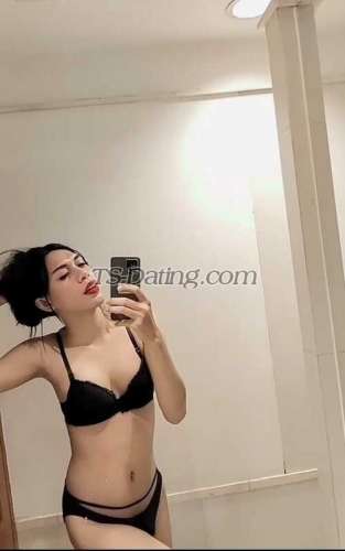 trans girl Vegaescort1 7498026 trans girl Vegaescort1 7498026