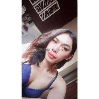 trans girl Vegaescort1 7498873 trans girl Vegaescort1 7498873