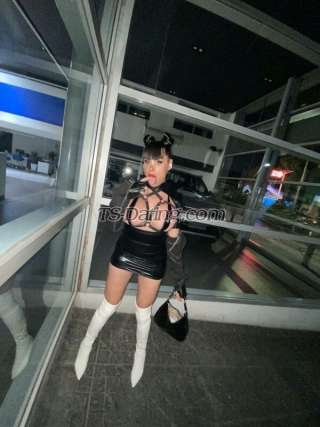 trans girl VeneziaARG 2835031 trans girl VeneziaARG 2835031