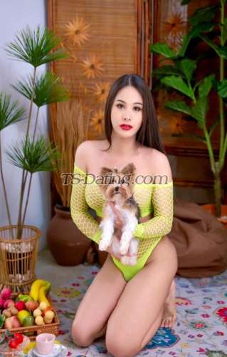 trans girl Venus2727 7440663 trans girl Venus2727 7440663