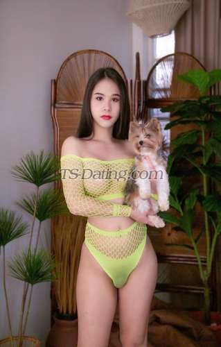 trans girl Venus2727 7441182 trans girl Venus2727 7441182