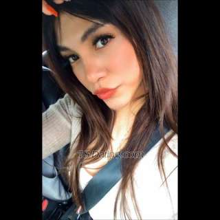 trans girl VeroLopez 2673934 trans girl VeroLopez 2673934