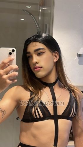 trans girl VickAvelar 4392895