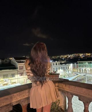 trans girl Victoriaecua 3885337 trans girl Victoriaecua 3885337