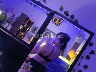 trans girl Violetxxx 4459115 trans girl Violetxxx 4459115