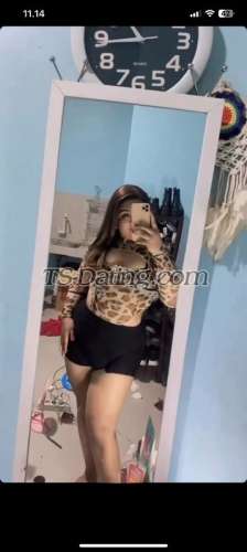 trans girl Vionaliu 3096905 trans girl Vionaliu 3096905