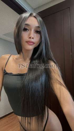 trans girl Vionetta 7444352 trans girl Vionetta 7444352